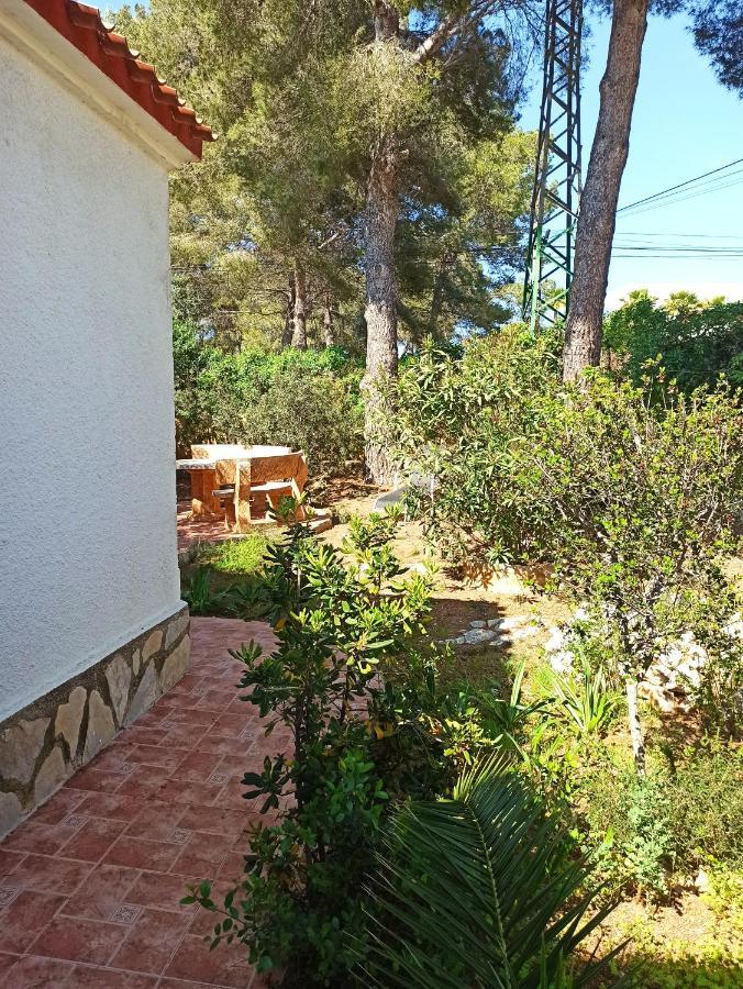 Javea Villa El Nido 10-15P Pool Minimaal 10 Nachten Geen Groep Jongelui 外观 照片